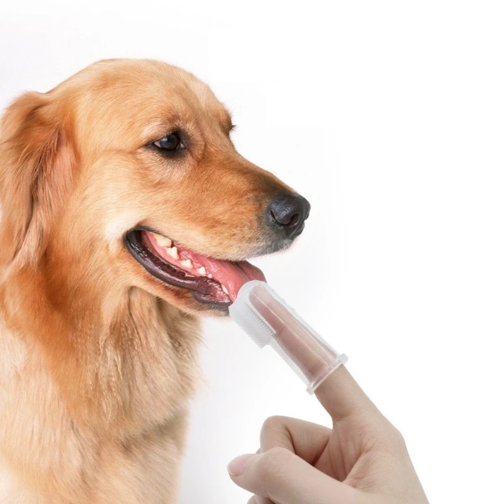 Pet Supplies Us - Super Soft Pet Finger Toothbrush Teddy