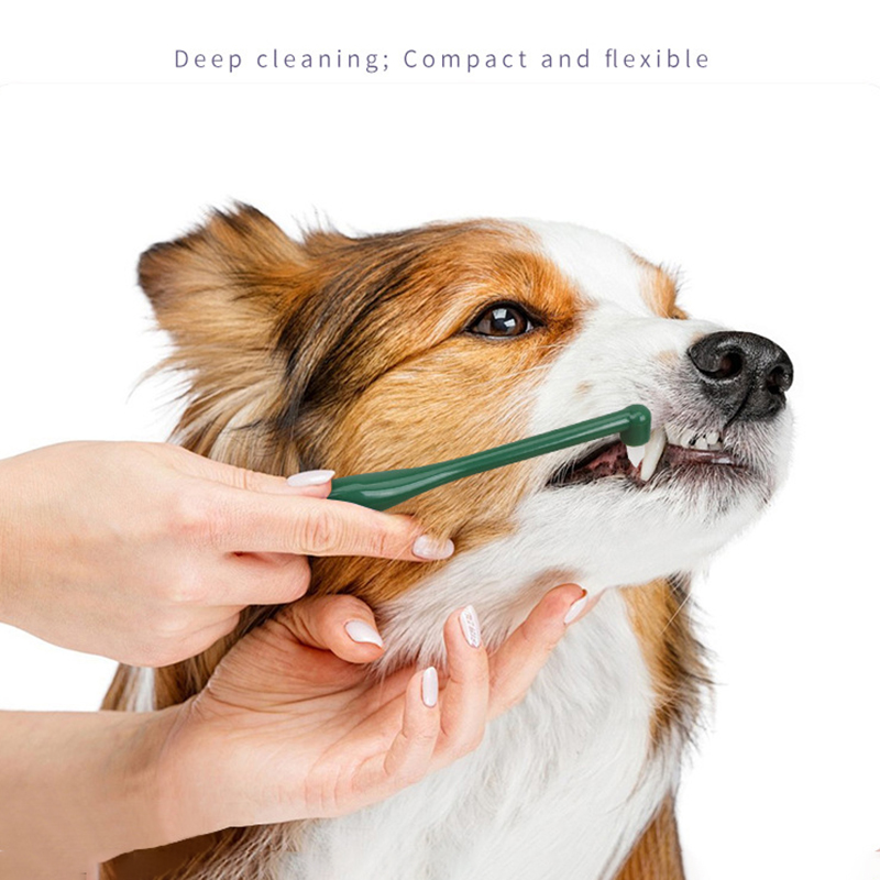 Micro Head Dog Cat Toothbrush  - đánh giá và giá Pet Supplies Plus