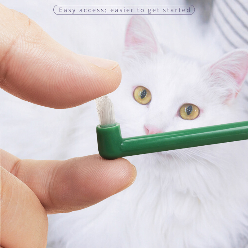 Micro Head Dog Cat Toothbrush  - đánh giá và giá Pet Supplies Plus