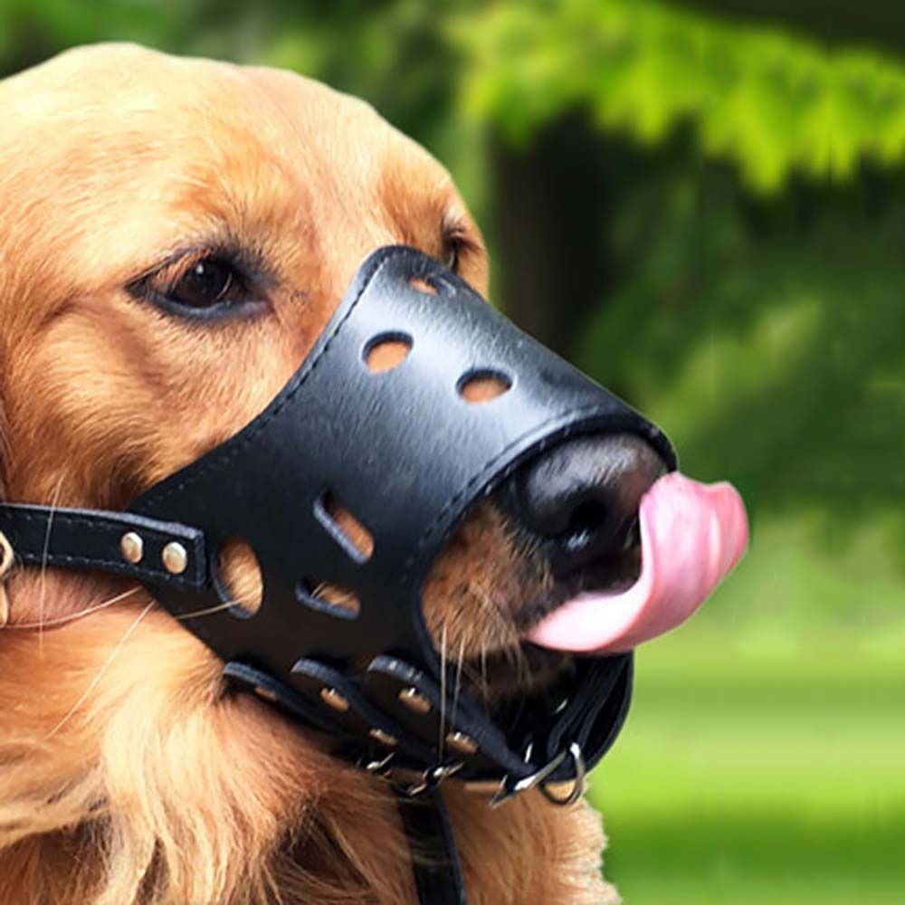Anti-Biting Secure Anti Bark C - đánh giá và giá Pet Supplies Plus