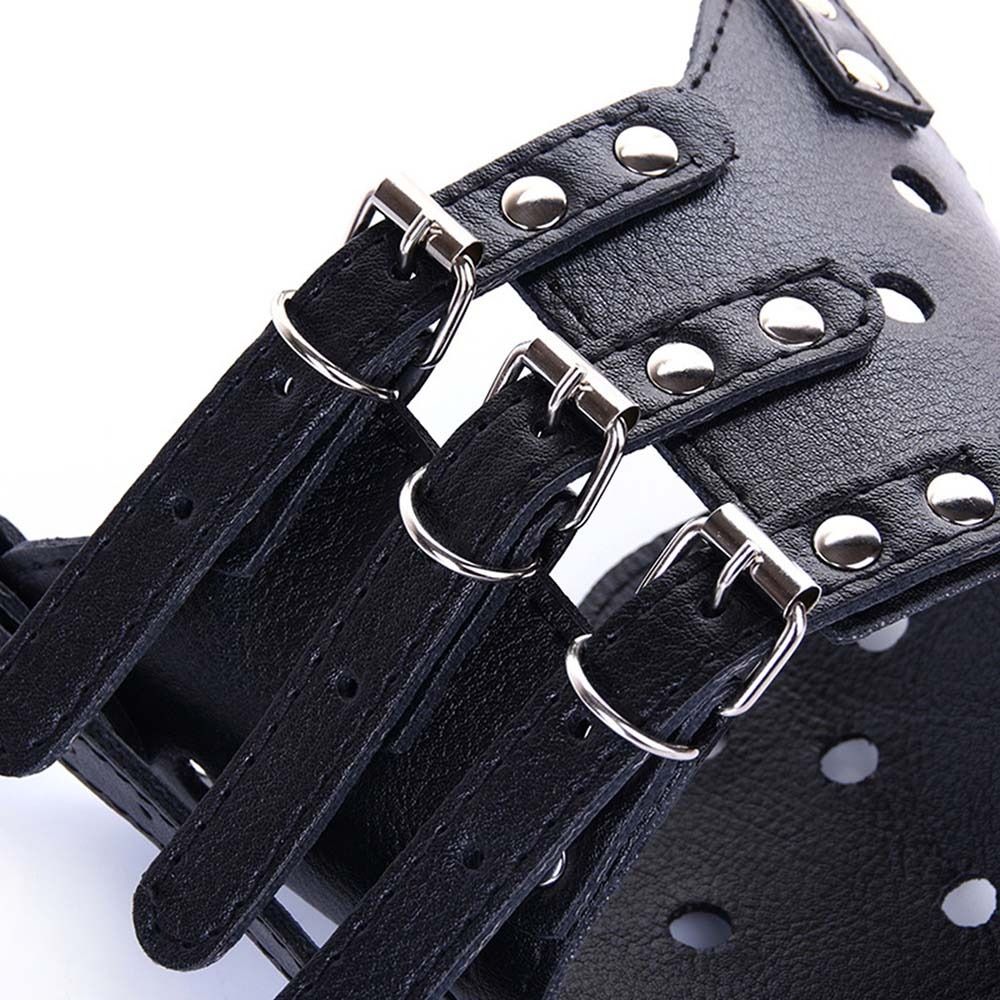 Anti-Biting Secure Anti Bark C - đánh giá và giá Pet Supplies Plus