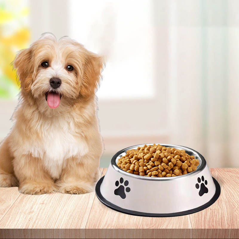 Stainless Steel Large Capacity - đánh giá và giá Pet Supplies Plus