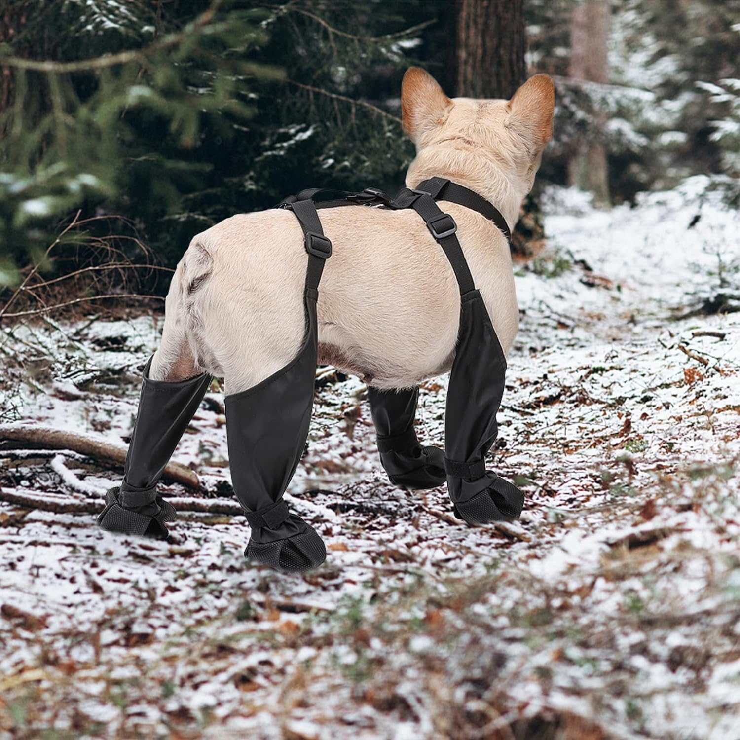 Dog Suspender Boots Waterproof - đánh giá và giá Dog Booties Paw Protector