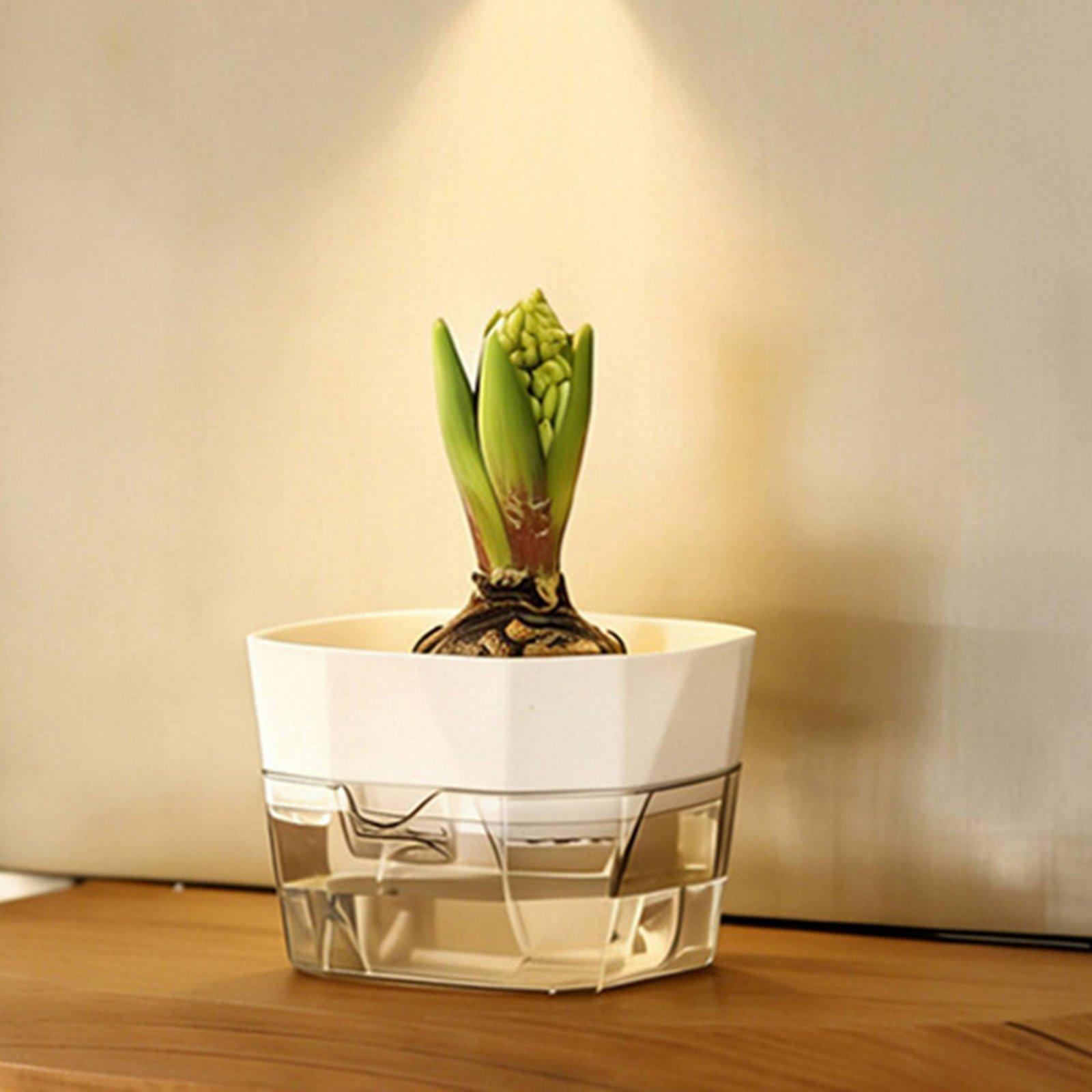 Hydroponic Vase Two Layer Self - đánh giá và giá Pet Supplies Us