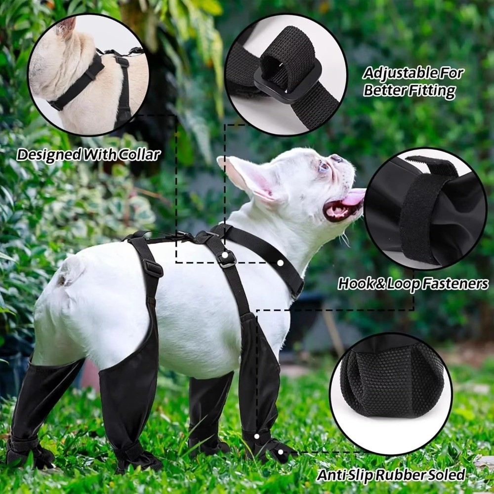Anti-fall Waterproof Dog Shoes - đánh giá và giá Dog Booties Paw Protector