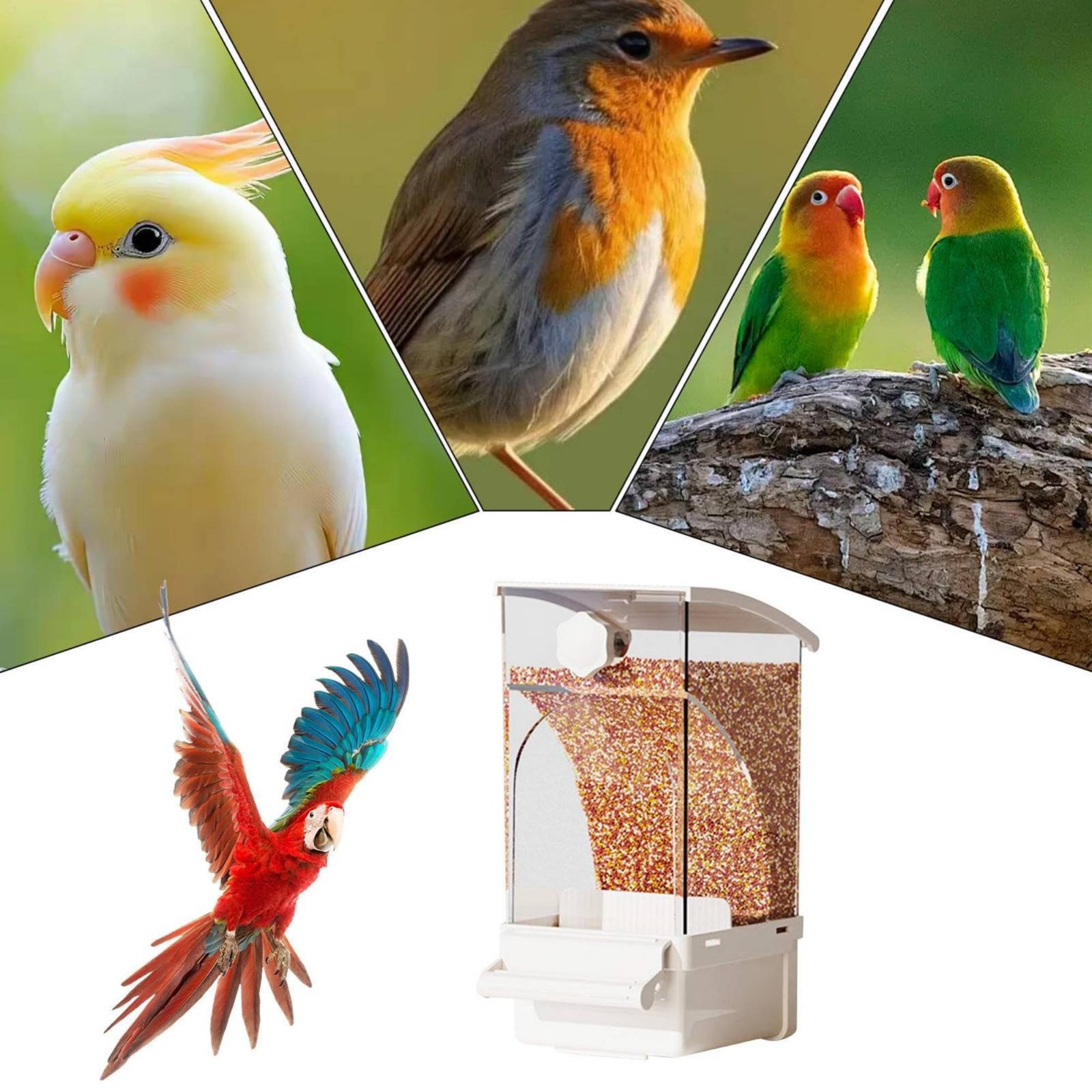 Automatic Avian Feeder Husk Se - đánh giá và giá Pet Supplies Us