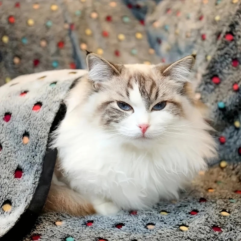 3PCS Soft Fluffy Pet Blanket C - đánh giá và giá Pet Supplies Plus