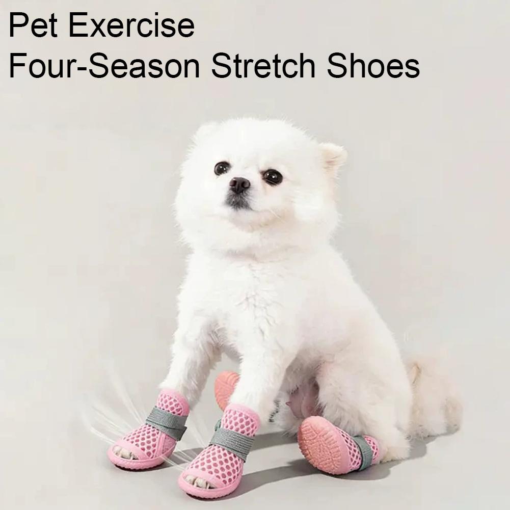 Summer Breathable Dog Shoes Me - đánh giá và giá Dog Booties Paw Protector