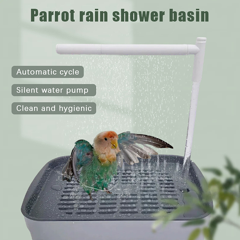 New Sale 2026 Automatic Parrot - đánh giá và giá Pet Supplies Us