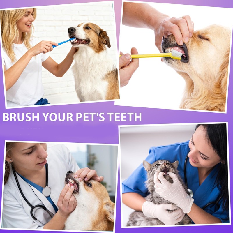 AB66-Dog Oral Hygiene Tool- 60 - đánh giá và giá Dog Paw Cleaner
